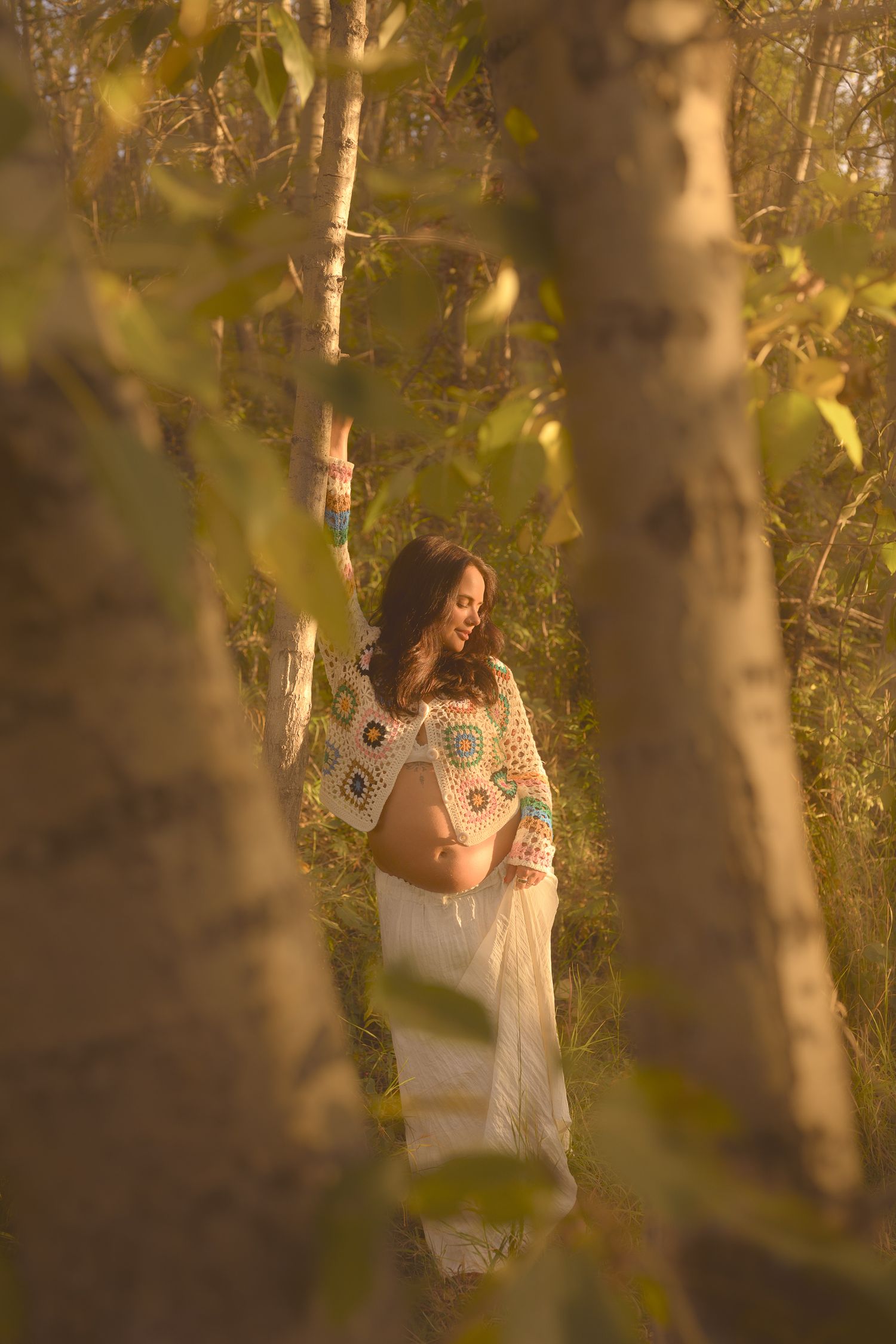 Artistic maternity photo through tree branches in warm evening light.