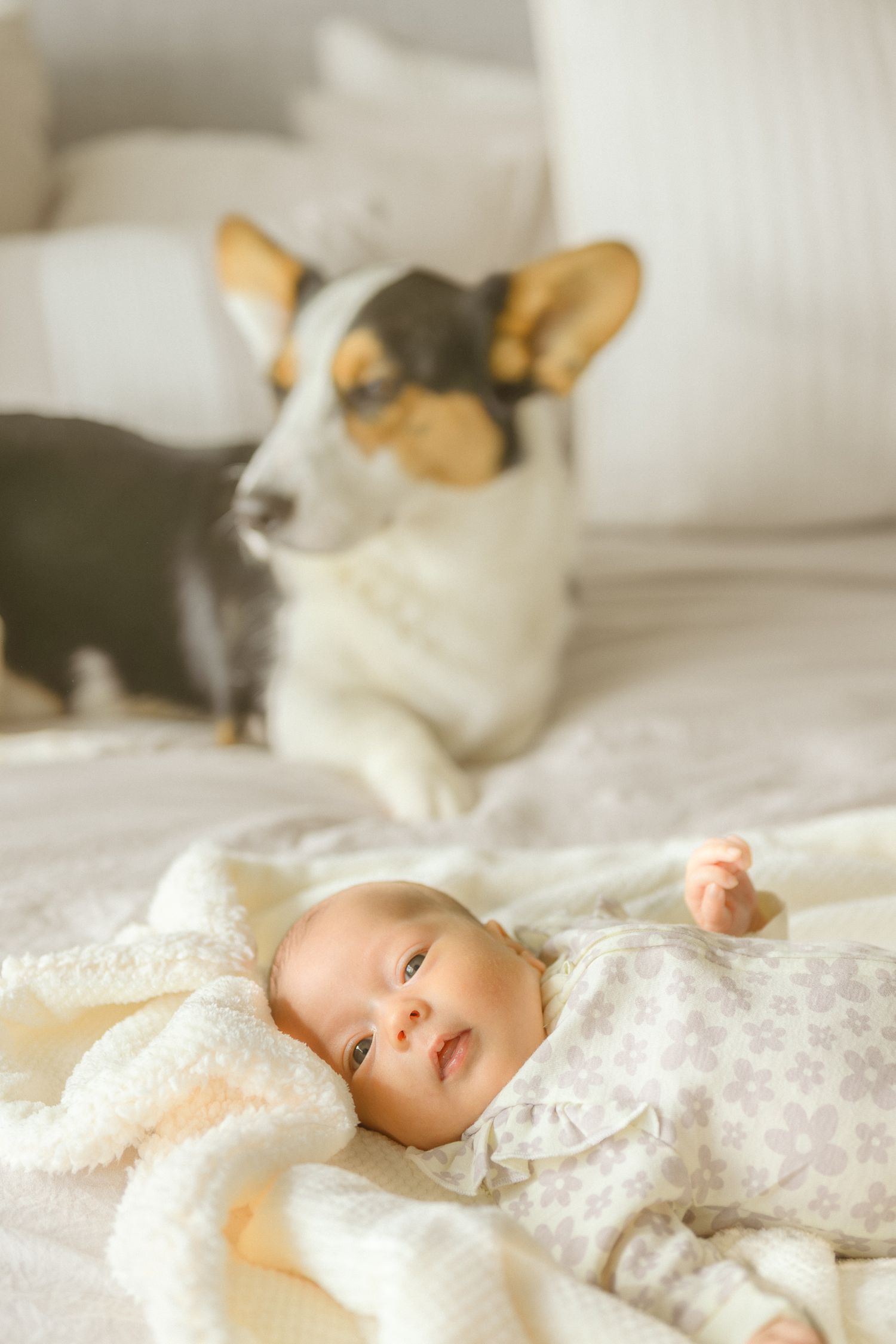 Cat observes newborn baby resting on white bedding in natural light.