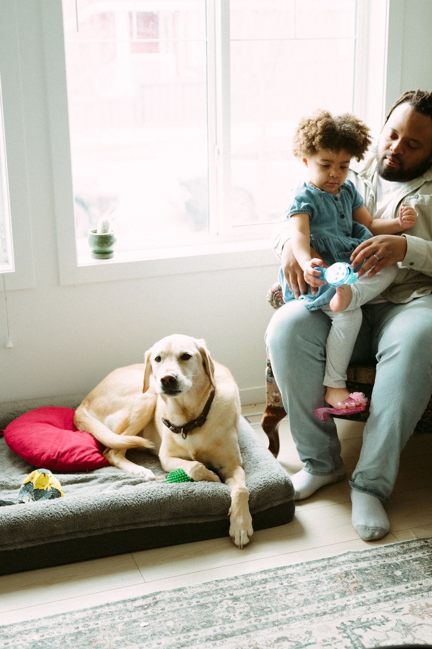 A father sits with his toddler on a couch while their yellow Labrador rests on a dog bed nearby.