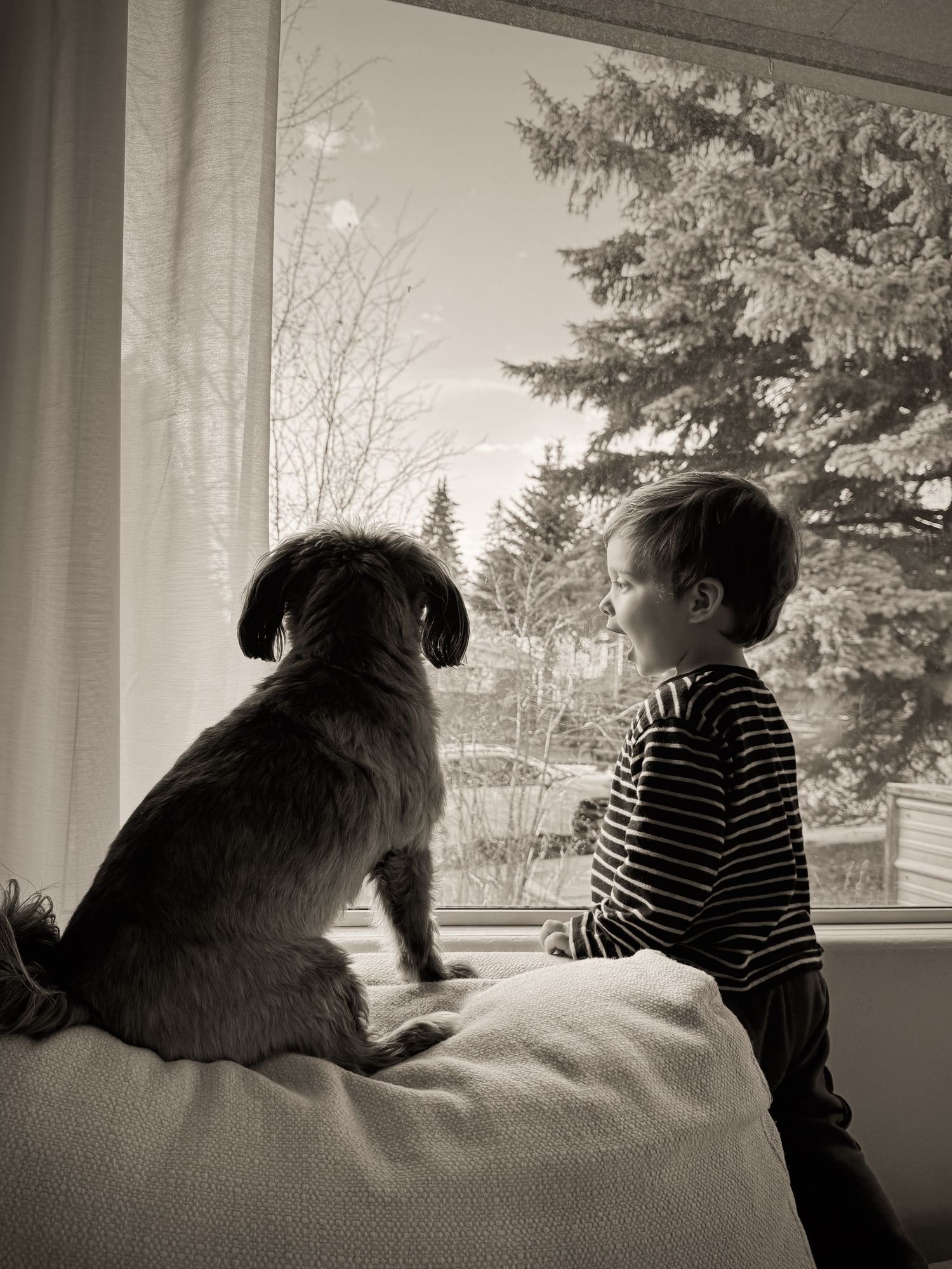 Dog and child looking out window together in black and white photo.