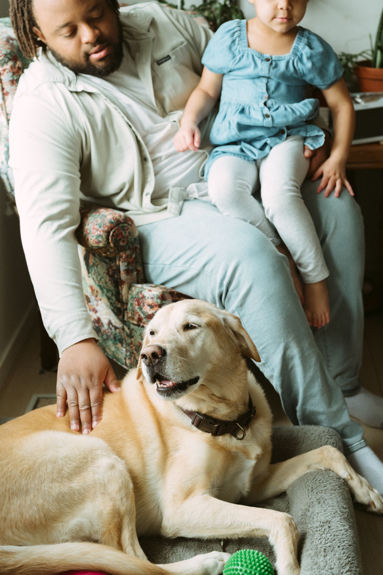 A man sits in a floral chair with a child on his lap, gently petting a yellow Labrador Retriever on the floor.