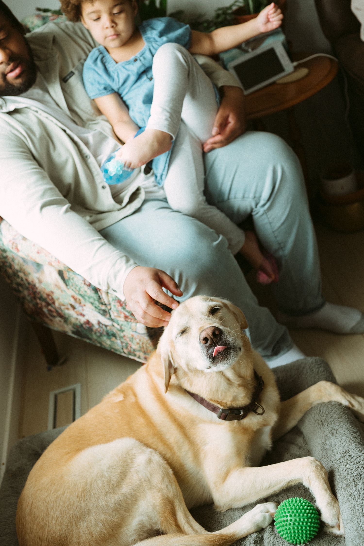 A yellow Labrador rests on the floor while a multiracial family relaxes on a couch in a cozy living room.