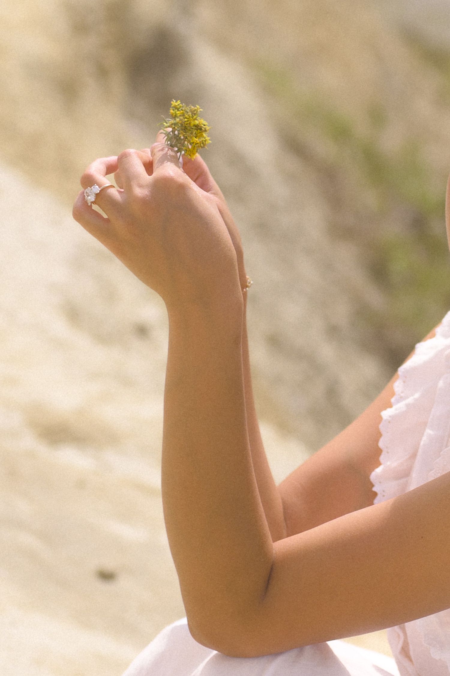 Close-up of hands holding small yellow wildflowers against a blurred natural background.