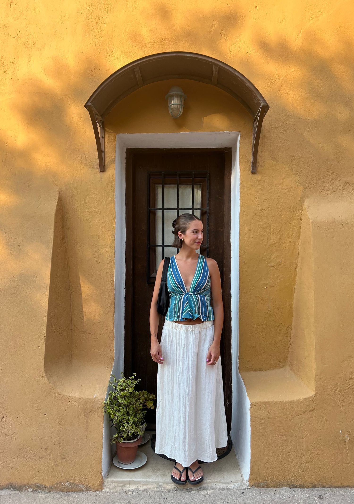 Yellow stucco doorway with arched entrance and potted plant.