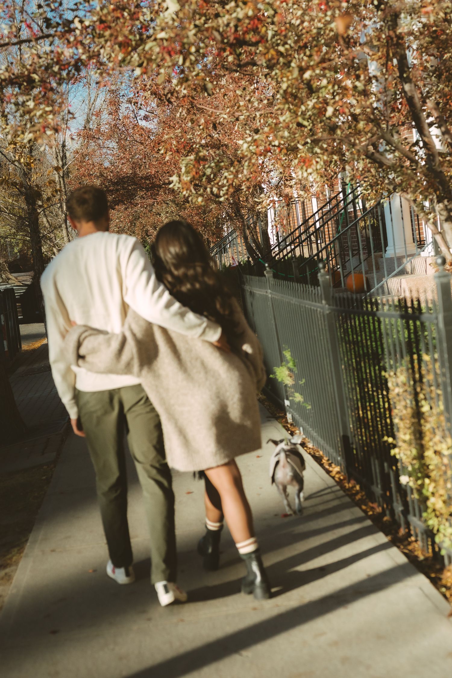 A sequence of photos showing a person in light colored clothing walking a small dog on a path beside autumn trees.