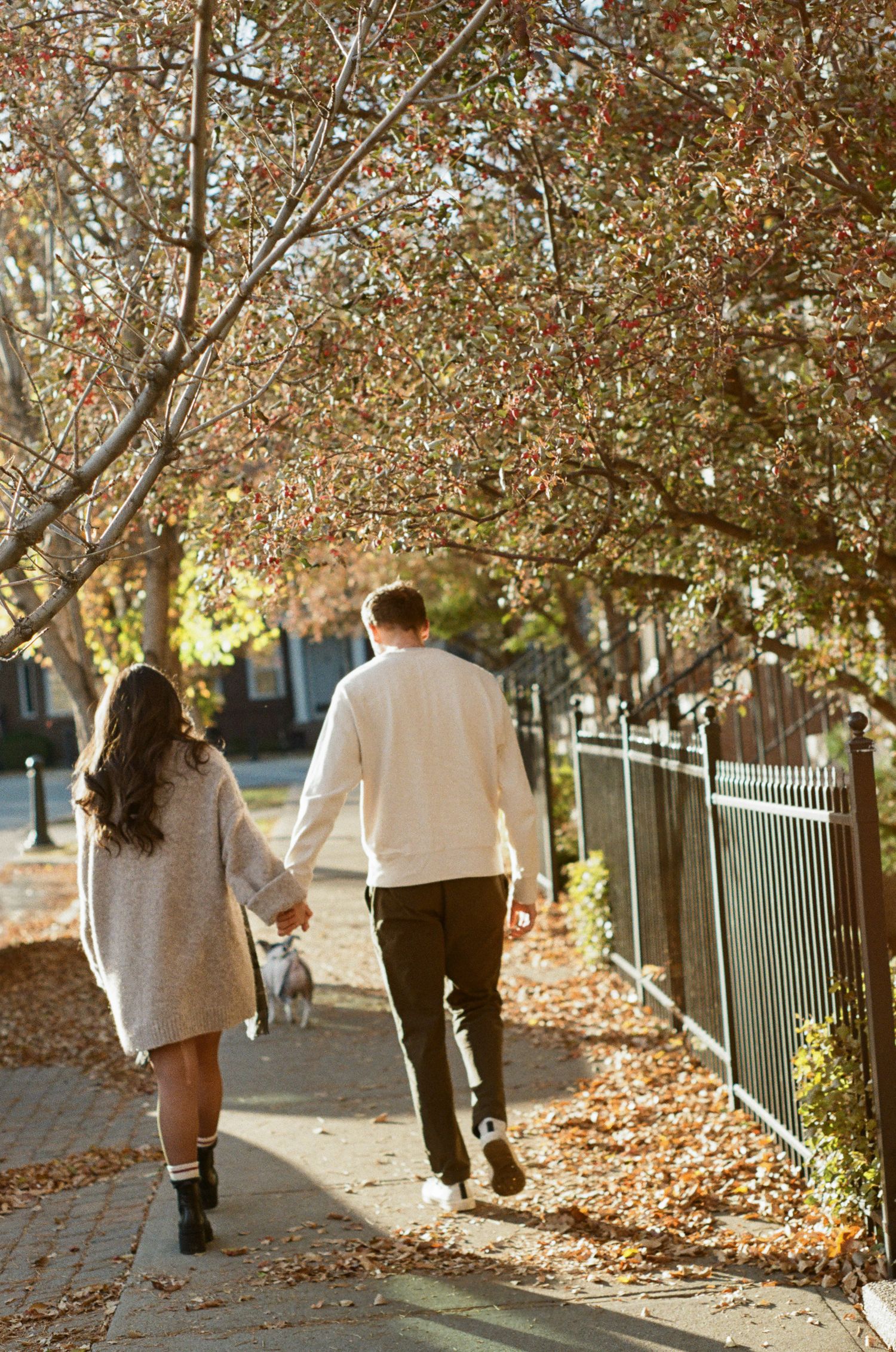A couple walks along a tree-lined path with autumn leaves scattered on the ground during a fall afternoon.