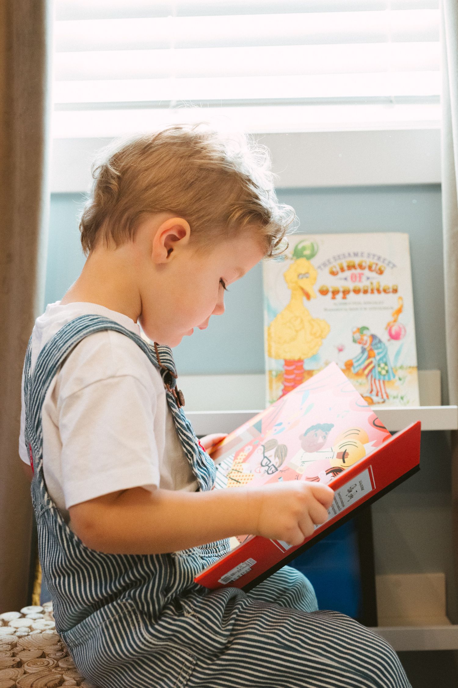 A young child in striped overalls reads a red book while sitting by a window with colorful artwork on display.