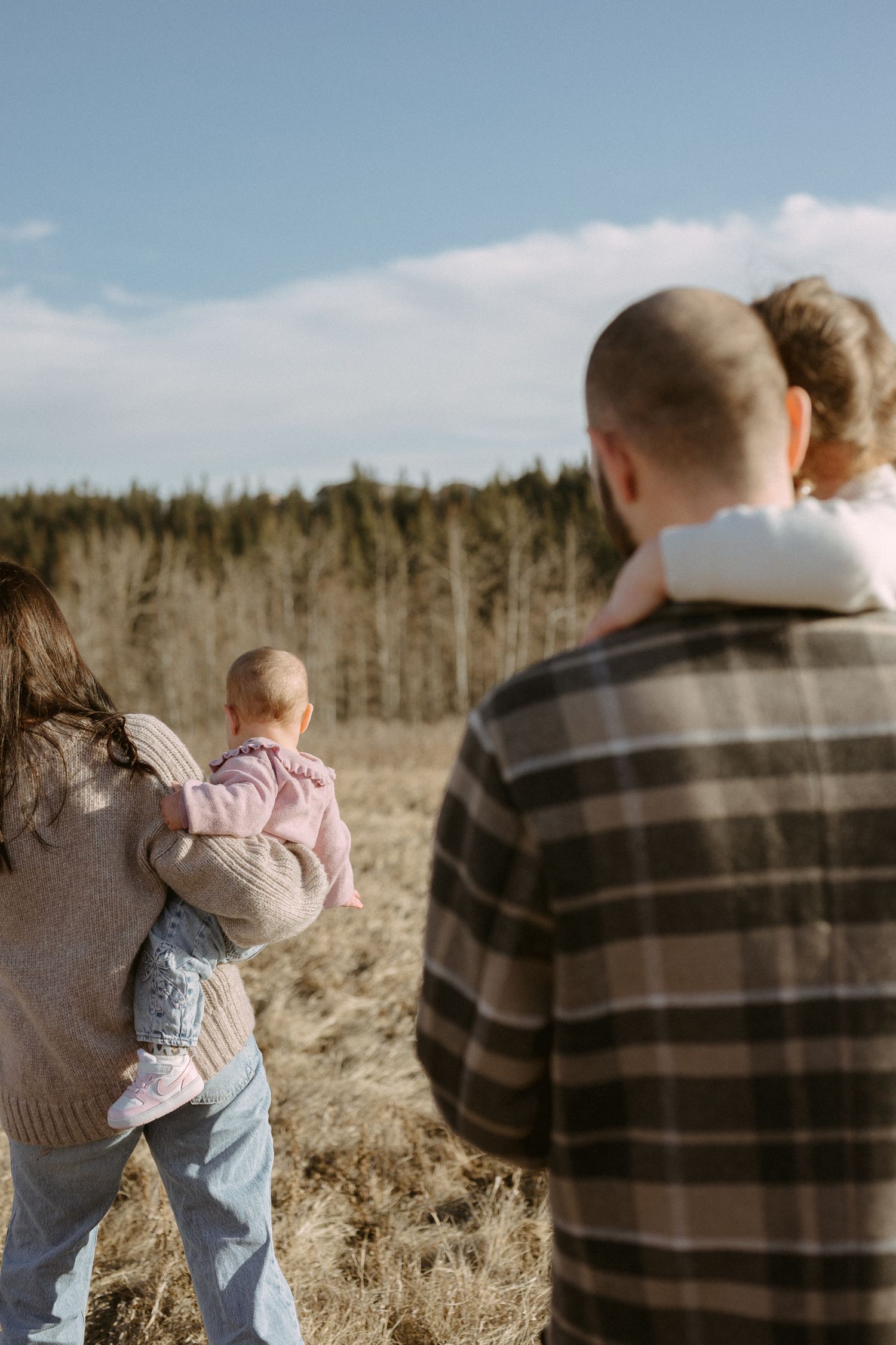 Family portrait sequence captured from behind against a backdrop of evergreen trees on a sunny afternoon.