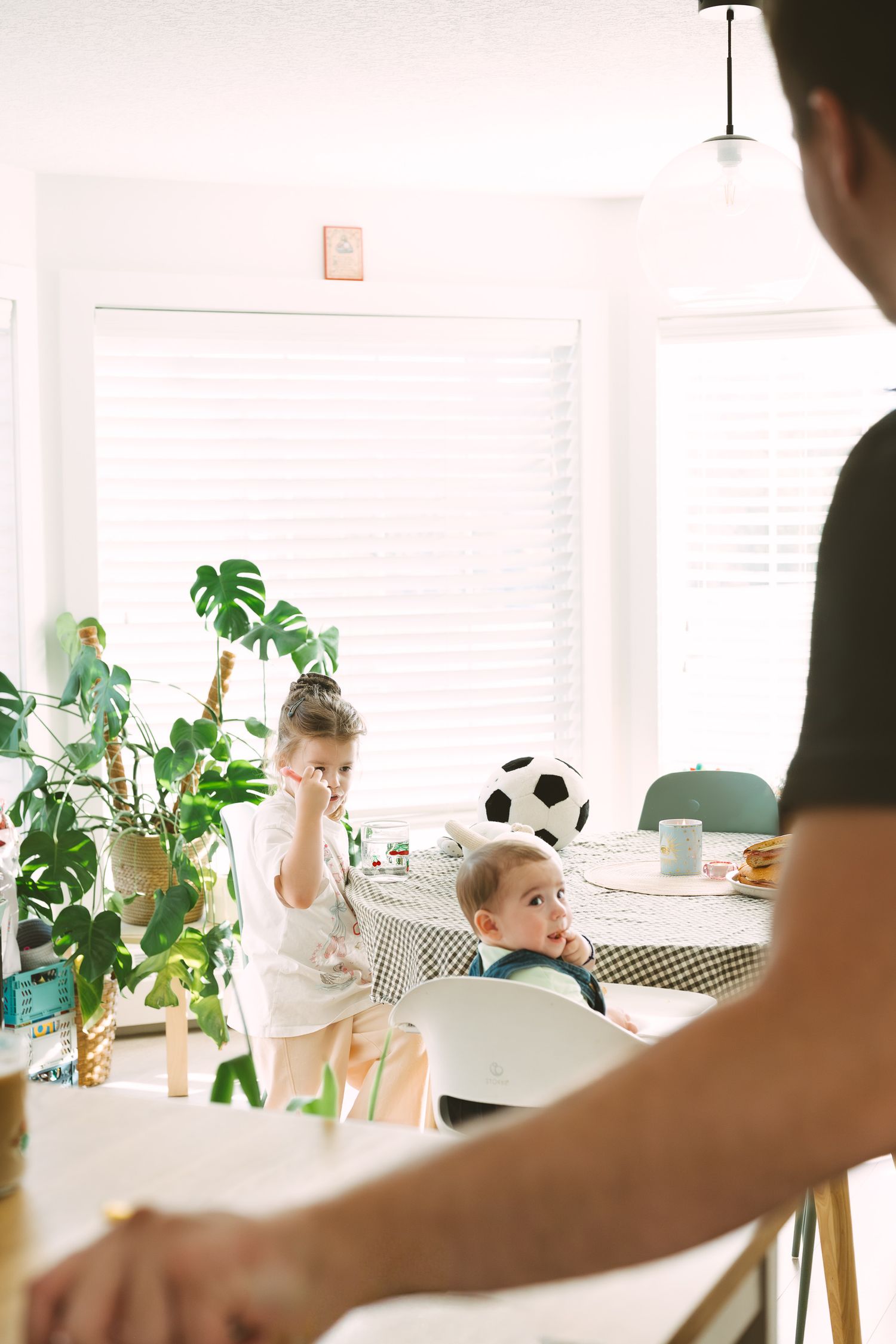A bright modern dining area with houseplants and children at the table.