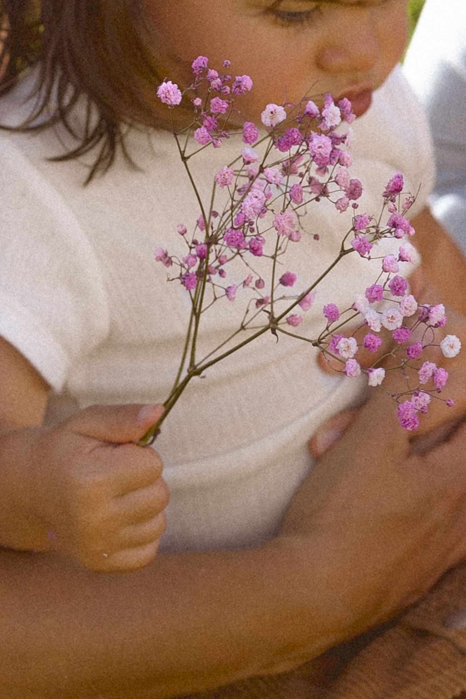 Gentle hands holding delicate pink baby's breath flowers against white fabric.