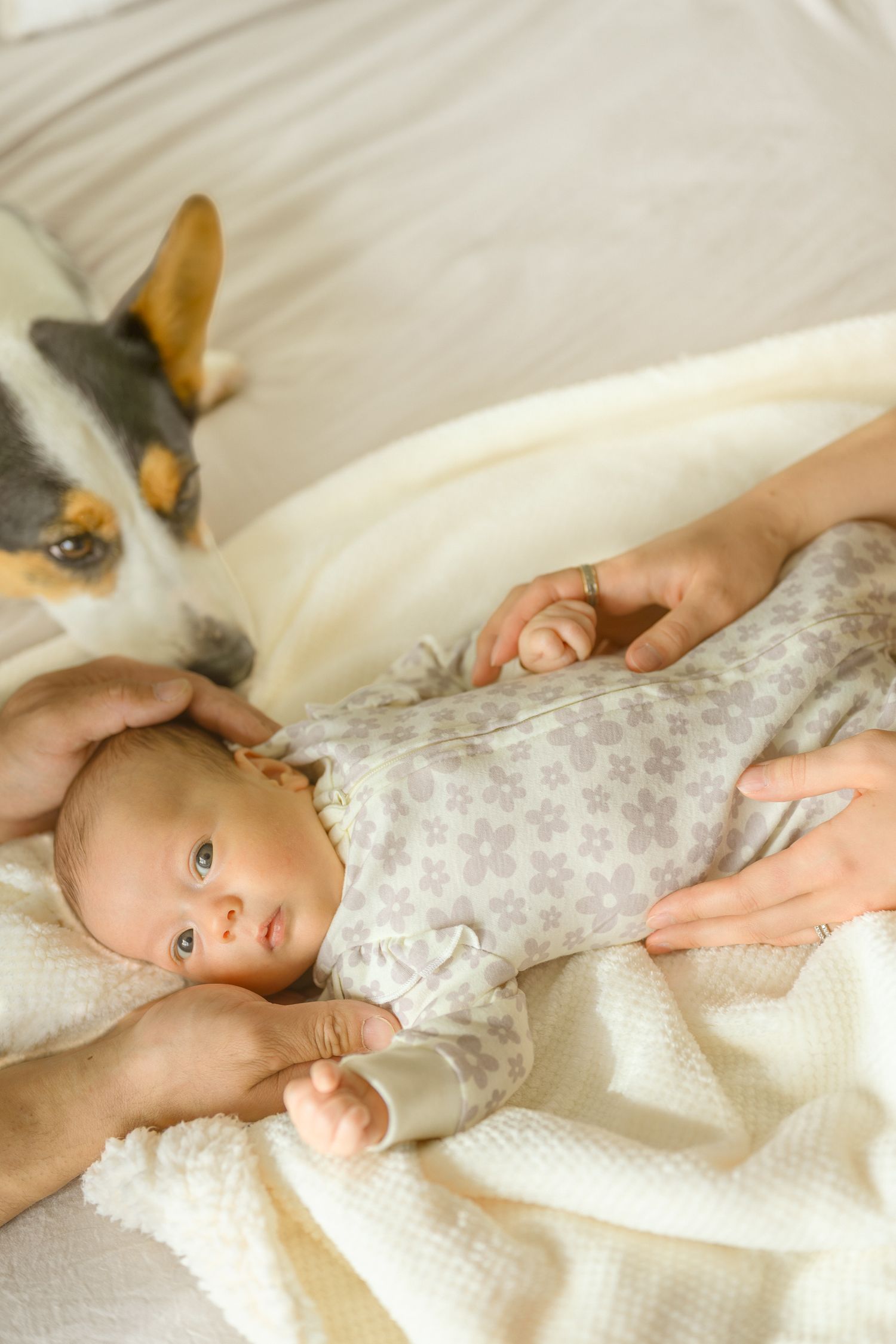 Infant rests on white bedding as cat's ears peek into frame.