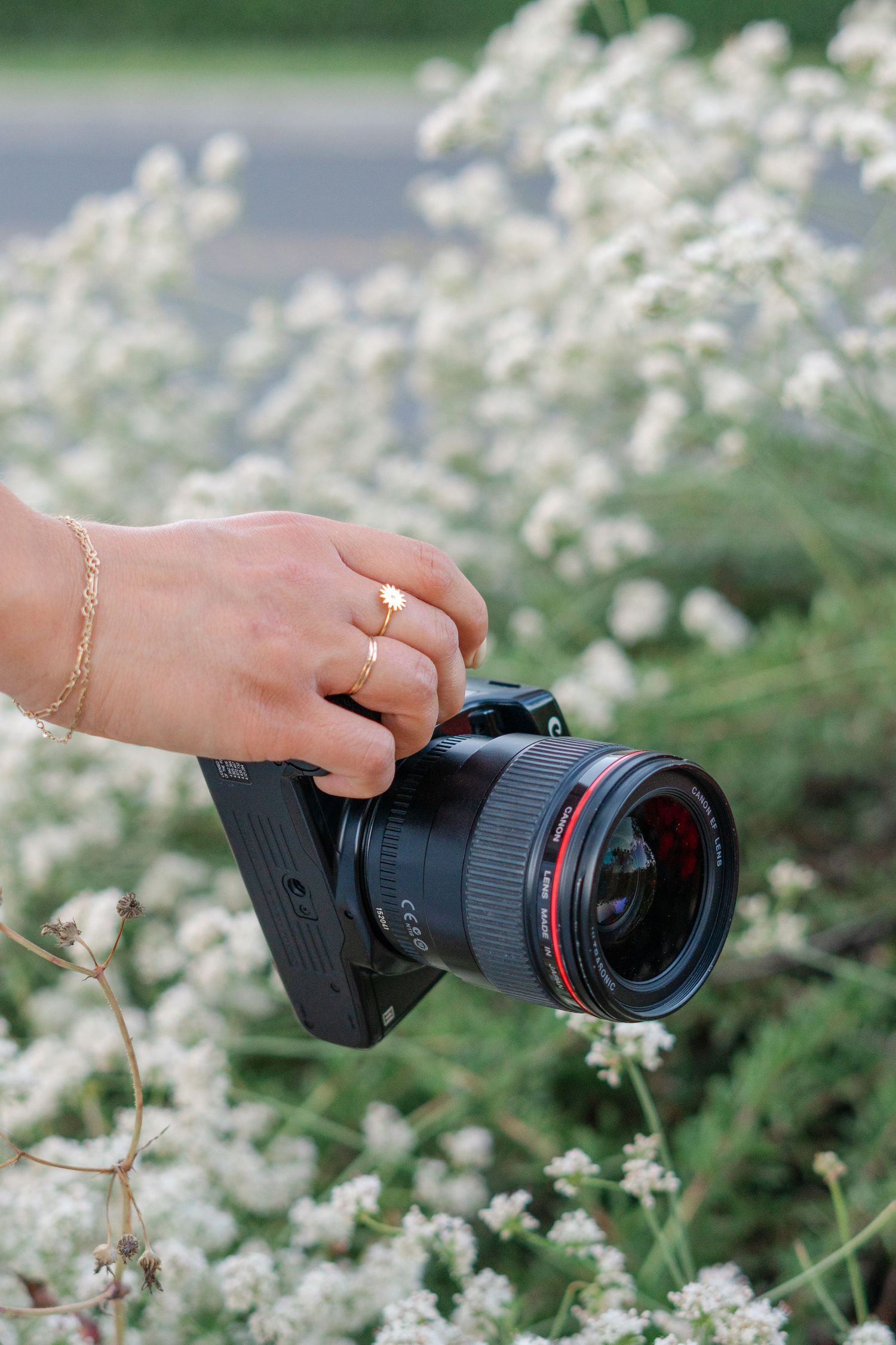 Close-up shots of hands holding a professional camera lens in a field of white flowers.