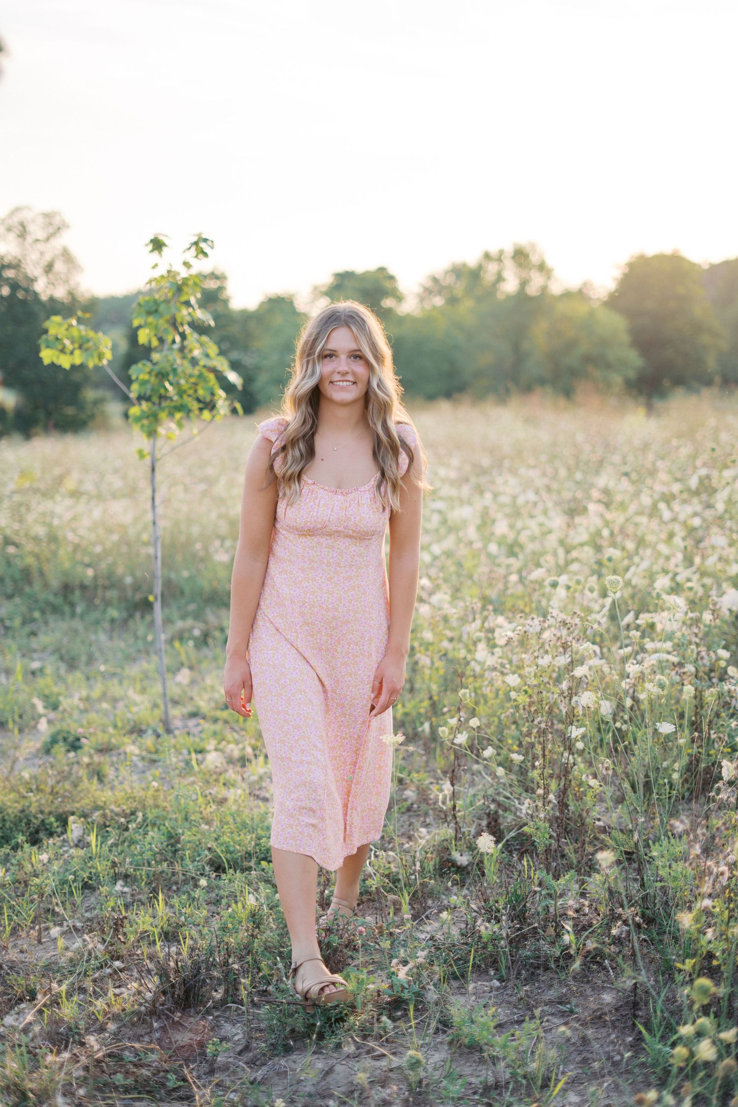 Sunset portrait session featuring a pink dress amid wildflowers and natural scenery.