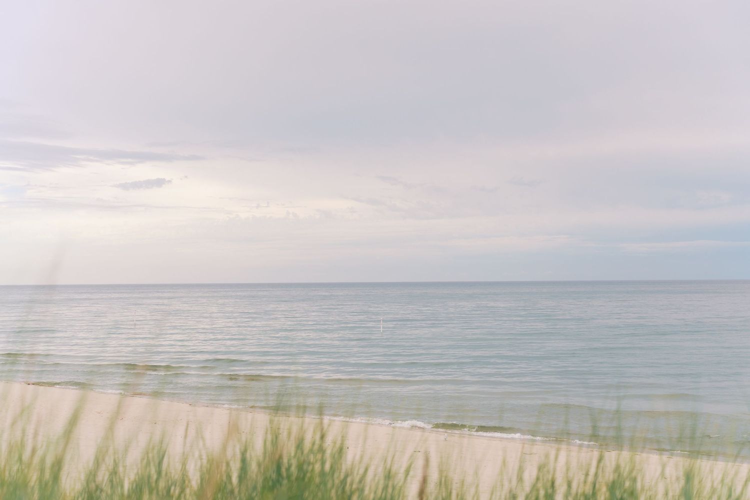 Serene beach scene with calm turquoise ocean waters, sandy shore, green sea grass, and a soft pastel cloudy sky.
