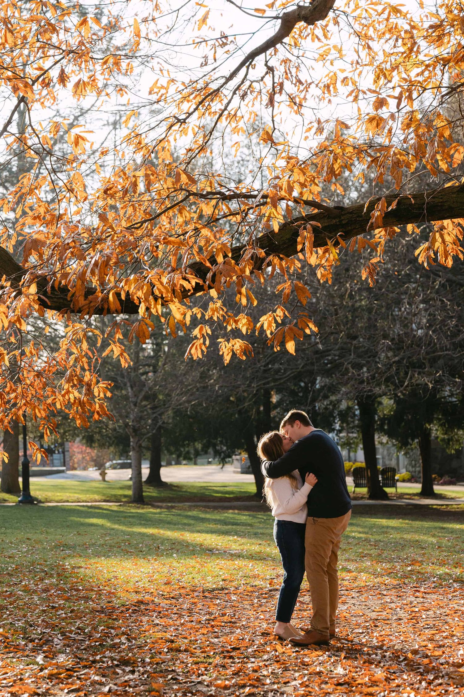 A couple embraces under golden autumn trees with fallen leaves scattered on the ground in a park setting.