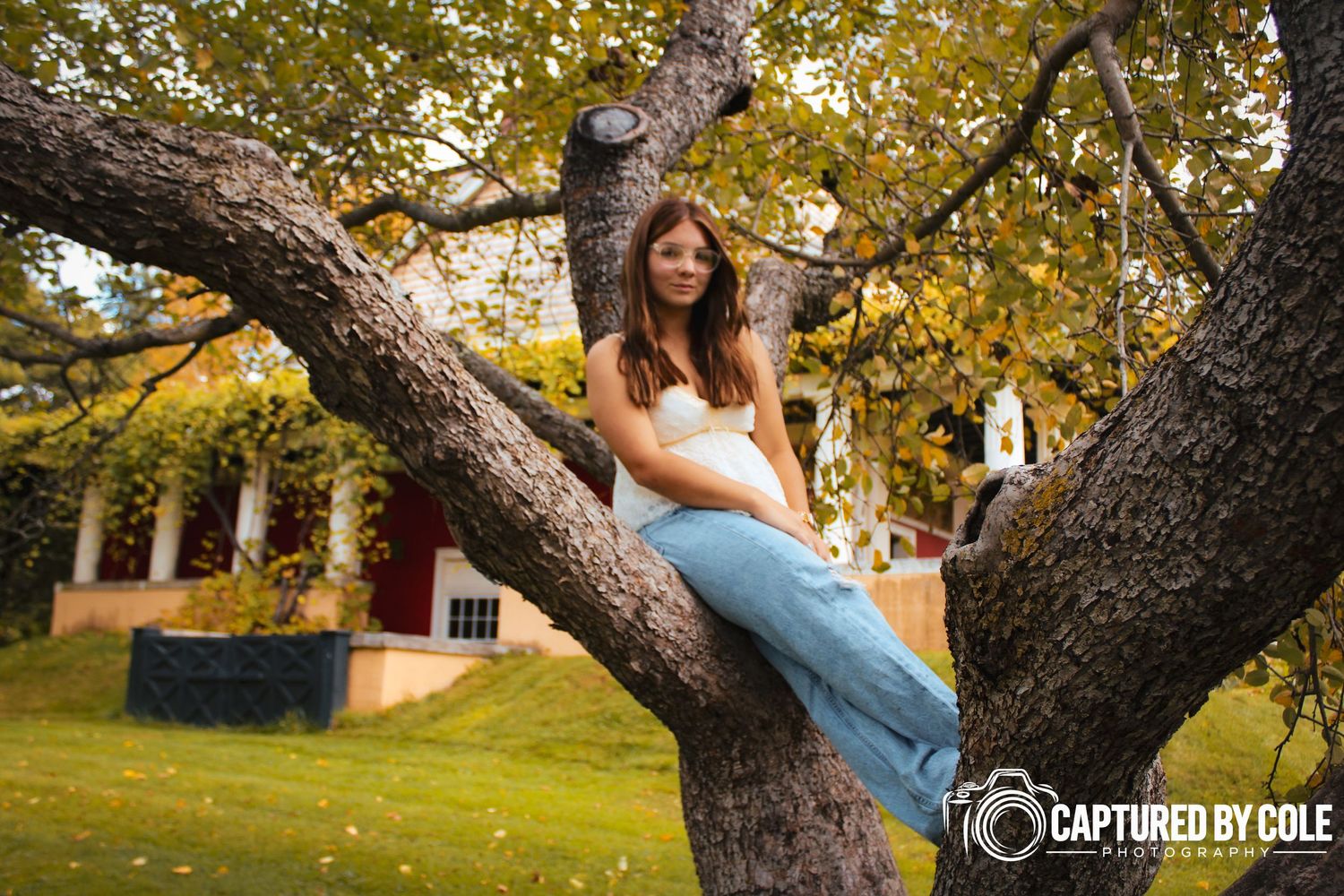 This is a picture of a girl sitting in a tree
