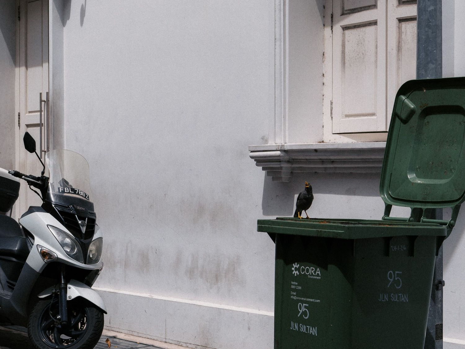 A small bird perches on a green wheelie bin beside a weathered white wall, with a parked white scooter and wooden shuttered window nearby.