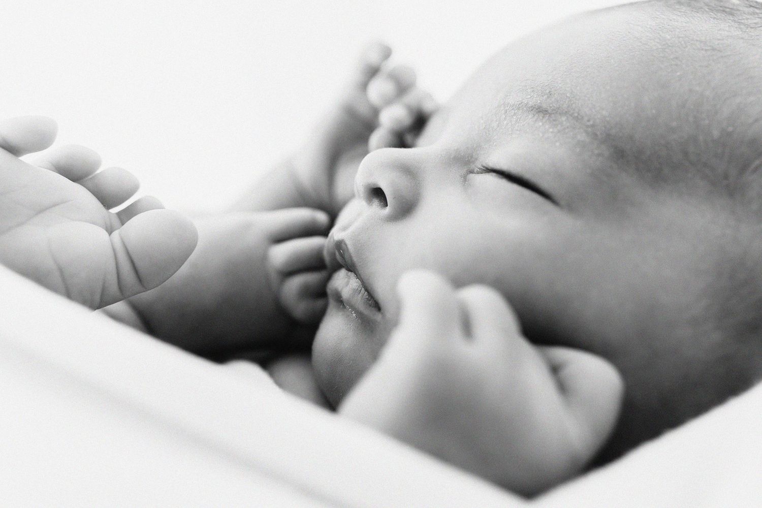 Peaceful sleeping newborn baby in black and white close-up portrait.