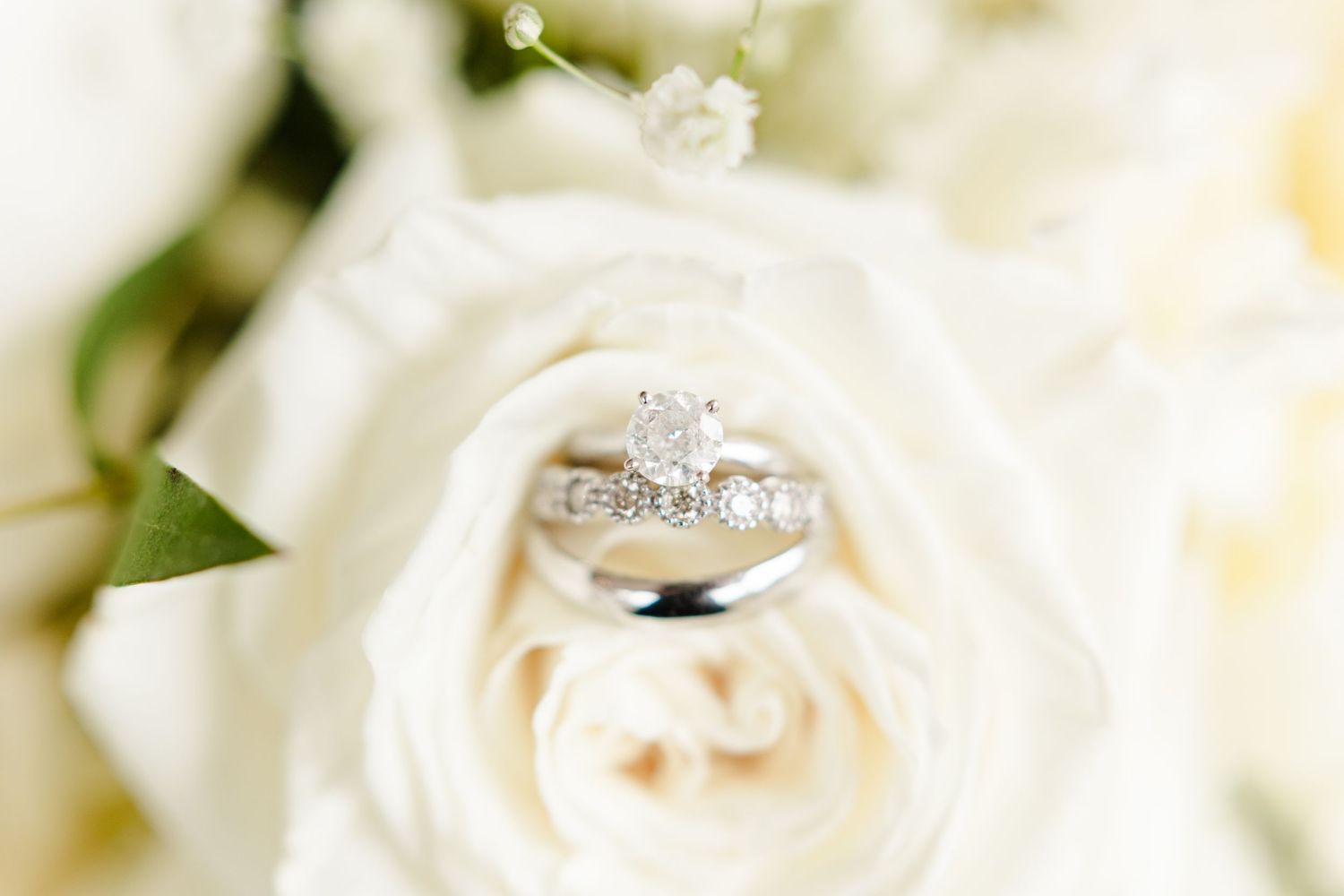Diamond wedding ring nestled in white rose petals.