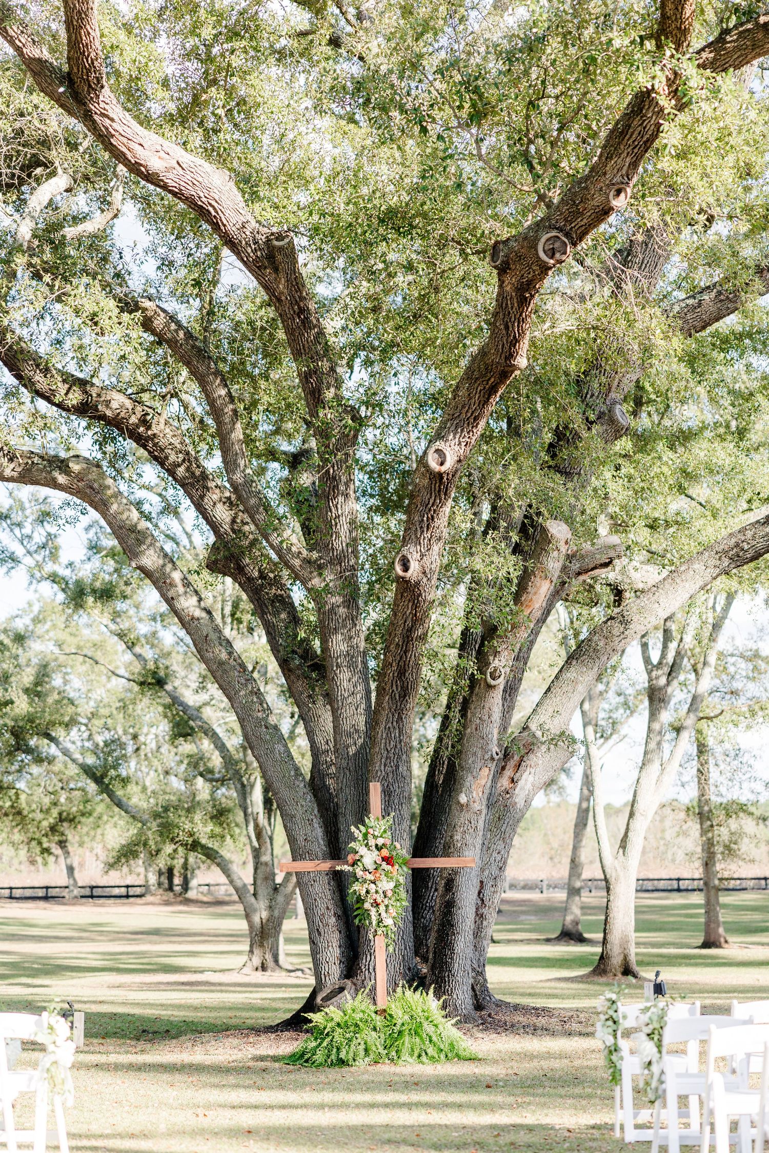 Majestic oak trees line an outdoor wedding ceremony space with white chairs and floral decorations.