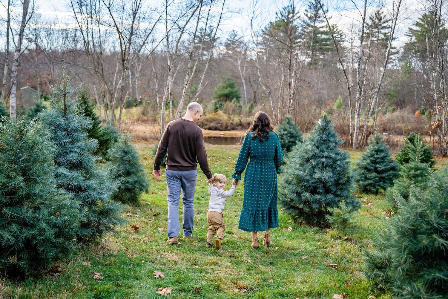 Four views of customers exploring an evergreen tree farm in search of the perfect Christmas tree on a cloudy winter day.