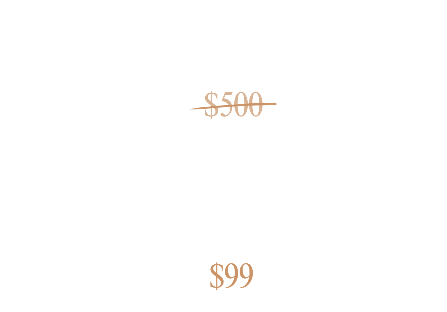 Promotional pricing graphic showing original $500 price crossed out with discounted sale price of $99 in gold text.