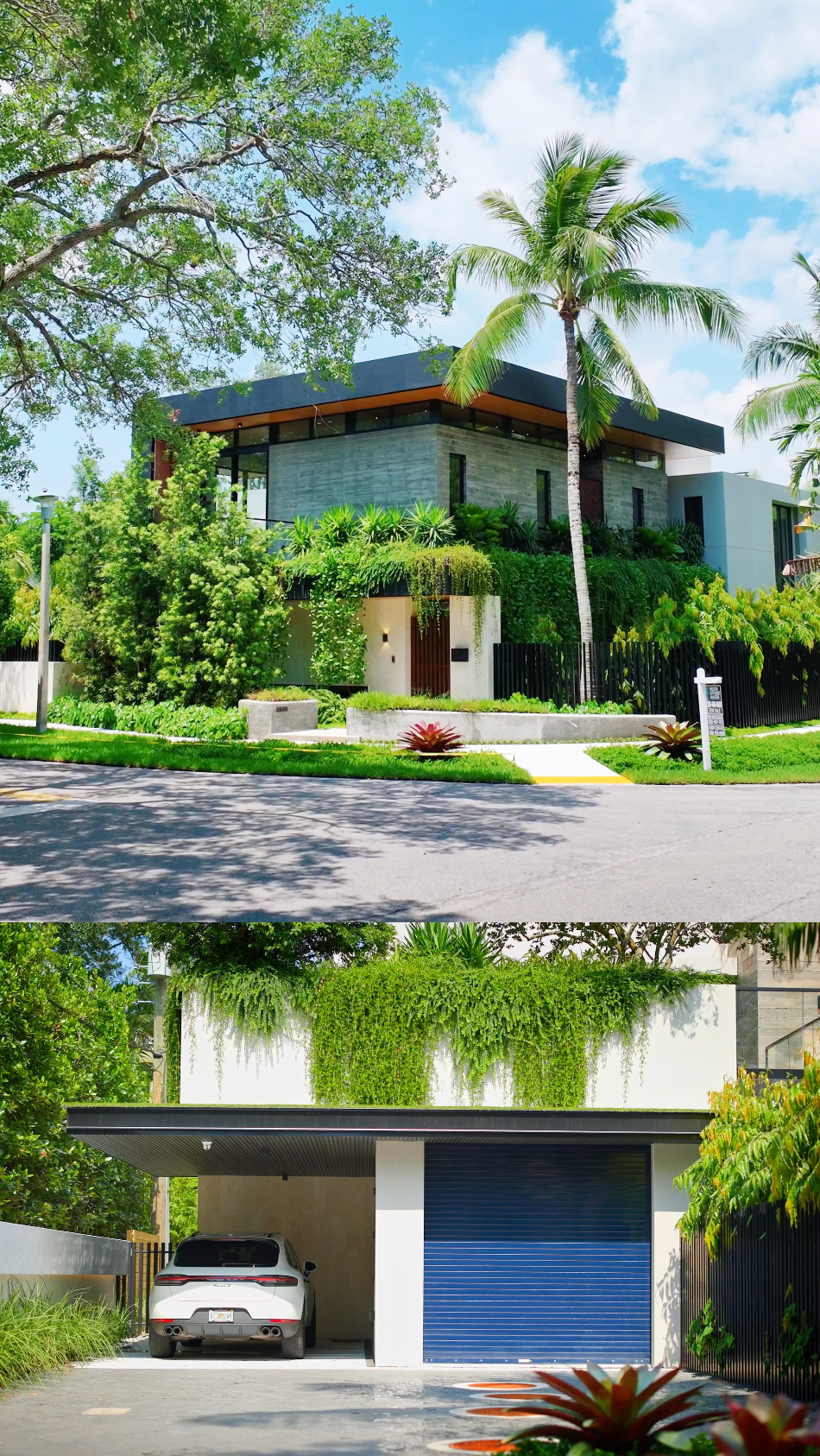 Modern luxury home with palm trees and lush greenery features a blue garage door and covered parking area.