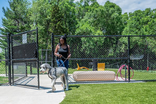 A person and their dog enter a gated dog park area with green grass and trees on a sunny day.