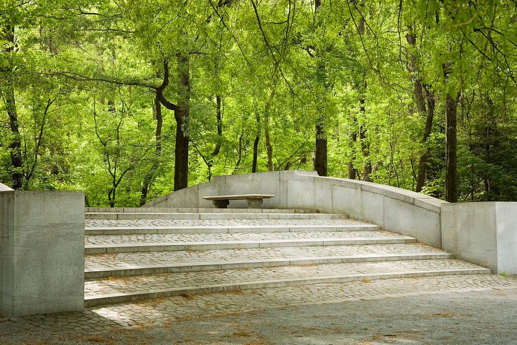 White concrete stairway leads up through a lush green forest with tall trees and bright foliage.