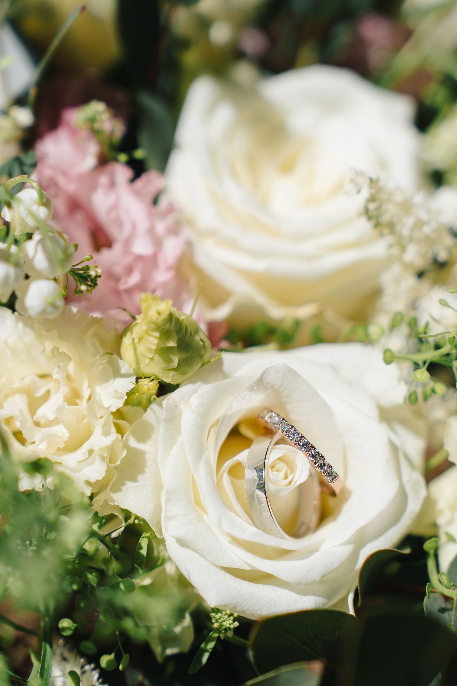 Two silver wedding rings resting on a delicate white rose in bloom surrounded by pink and white floral arrangements.