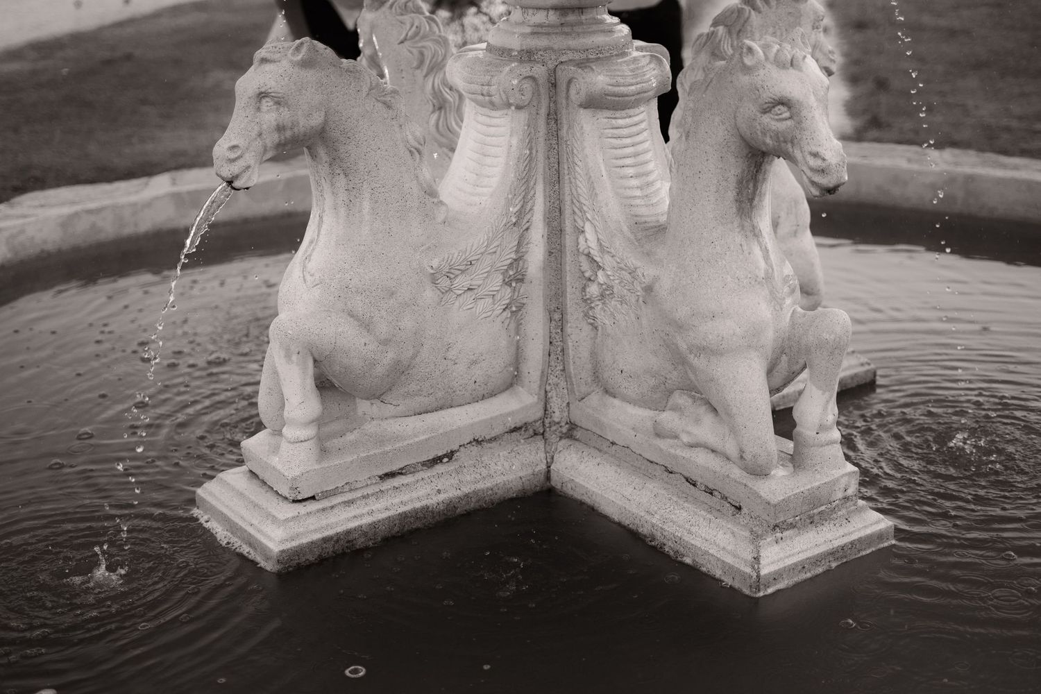 White stone lion head fountain spouting water into a circular pool in black and white.