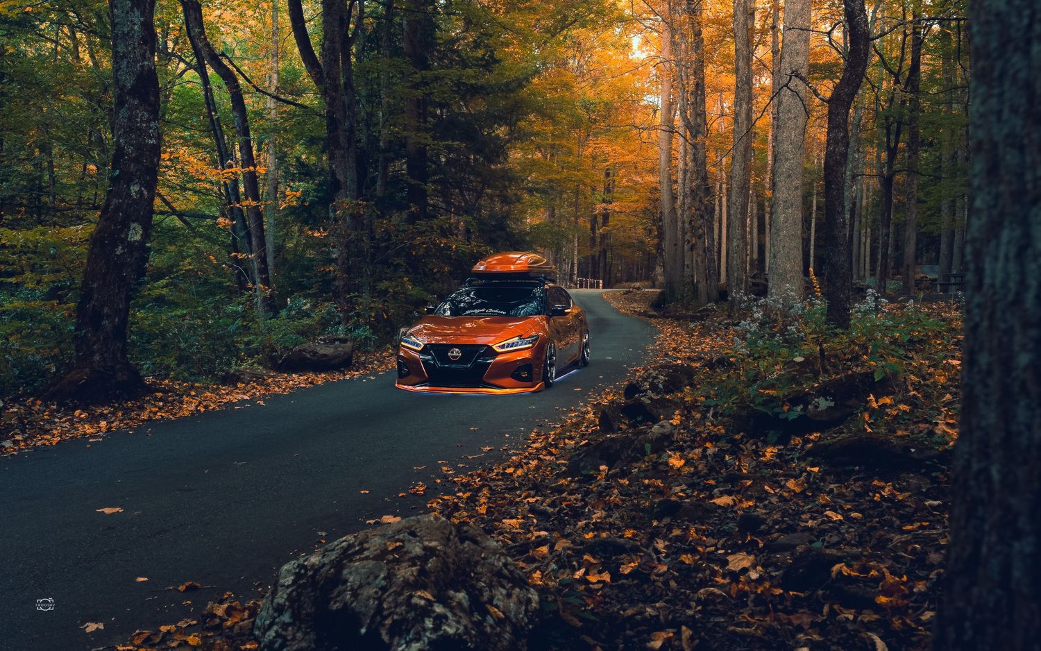 Orange BMW M3 drives through a winding forest road covered in autumn leaves during golden hour sunset.