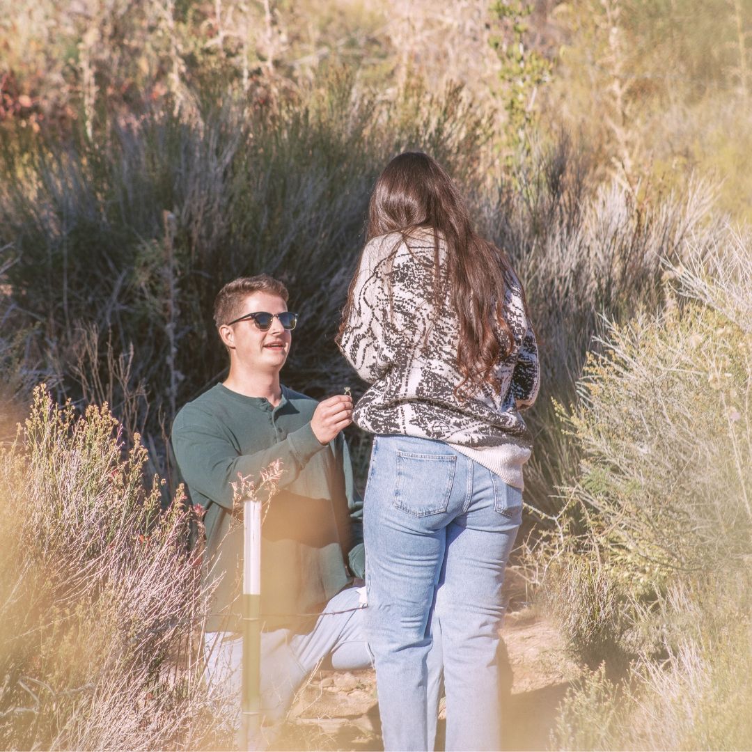 Man kneeling on one knee proposing to woman outdoors among wild shrubs on a sunny day.