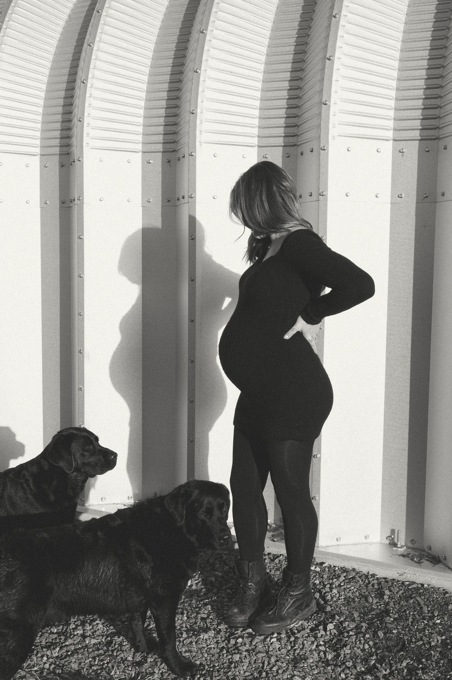 Black and white silhouette of a pregnant woman standing by a curved wall with two dogs beside her.