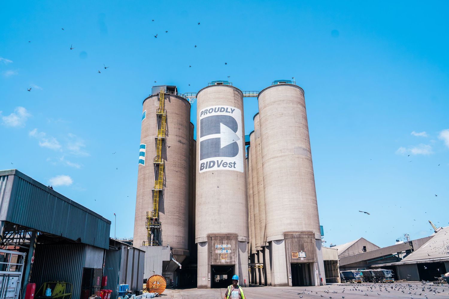 Large industrial grain silos with BioVest logo under a clear blue sky at a commercial facility.