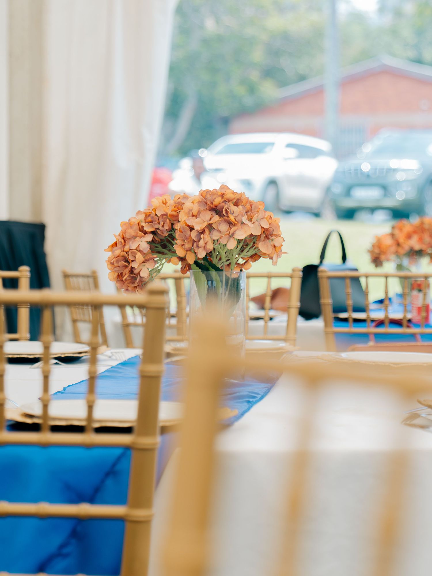 Elegant event table setup with gold chiavari chairs, blue satin runner, and peach hydrangea centerpiece in a white tent.