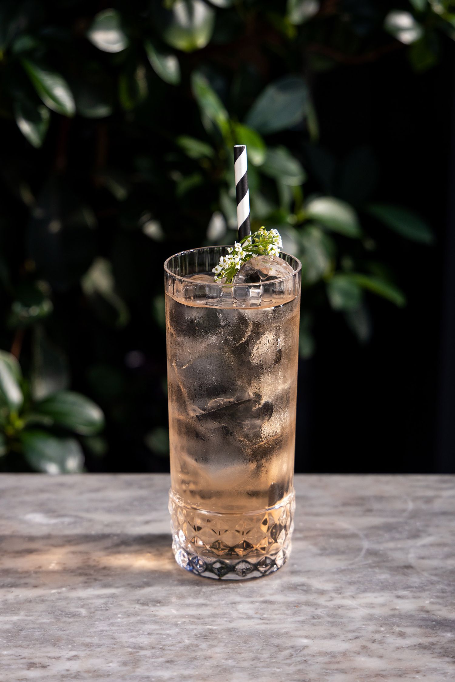Cocktails Photography  at Bondi Green, Daisy Green Collection