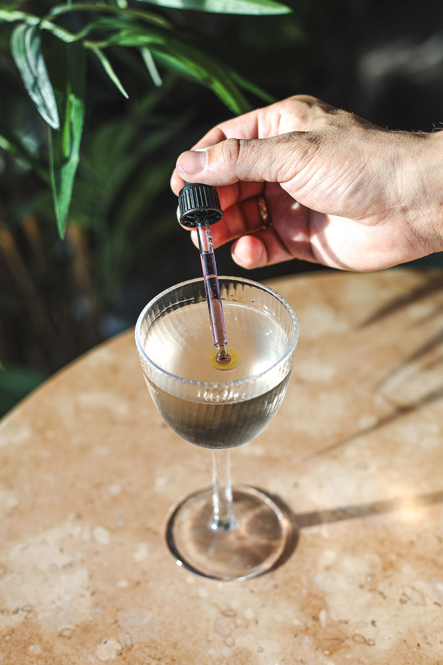 Cocktails Photography  at Bondi Green, Daisy Green Collection