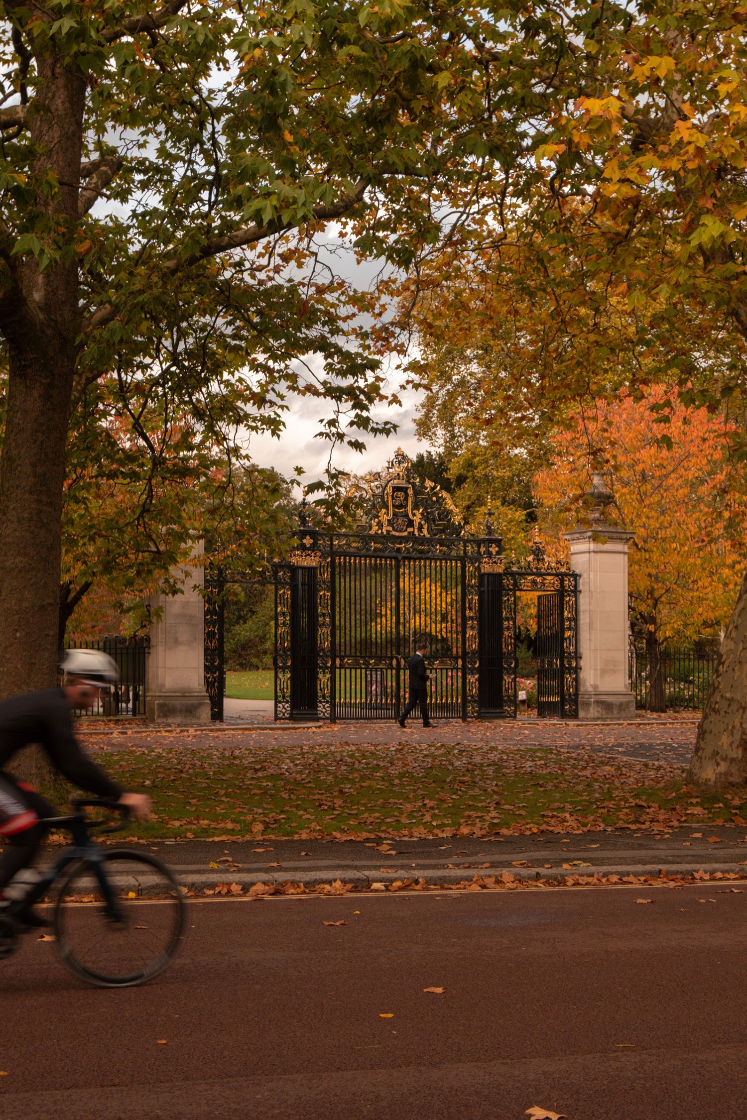 Autumn , cycling in Regents Park, London