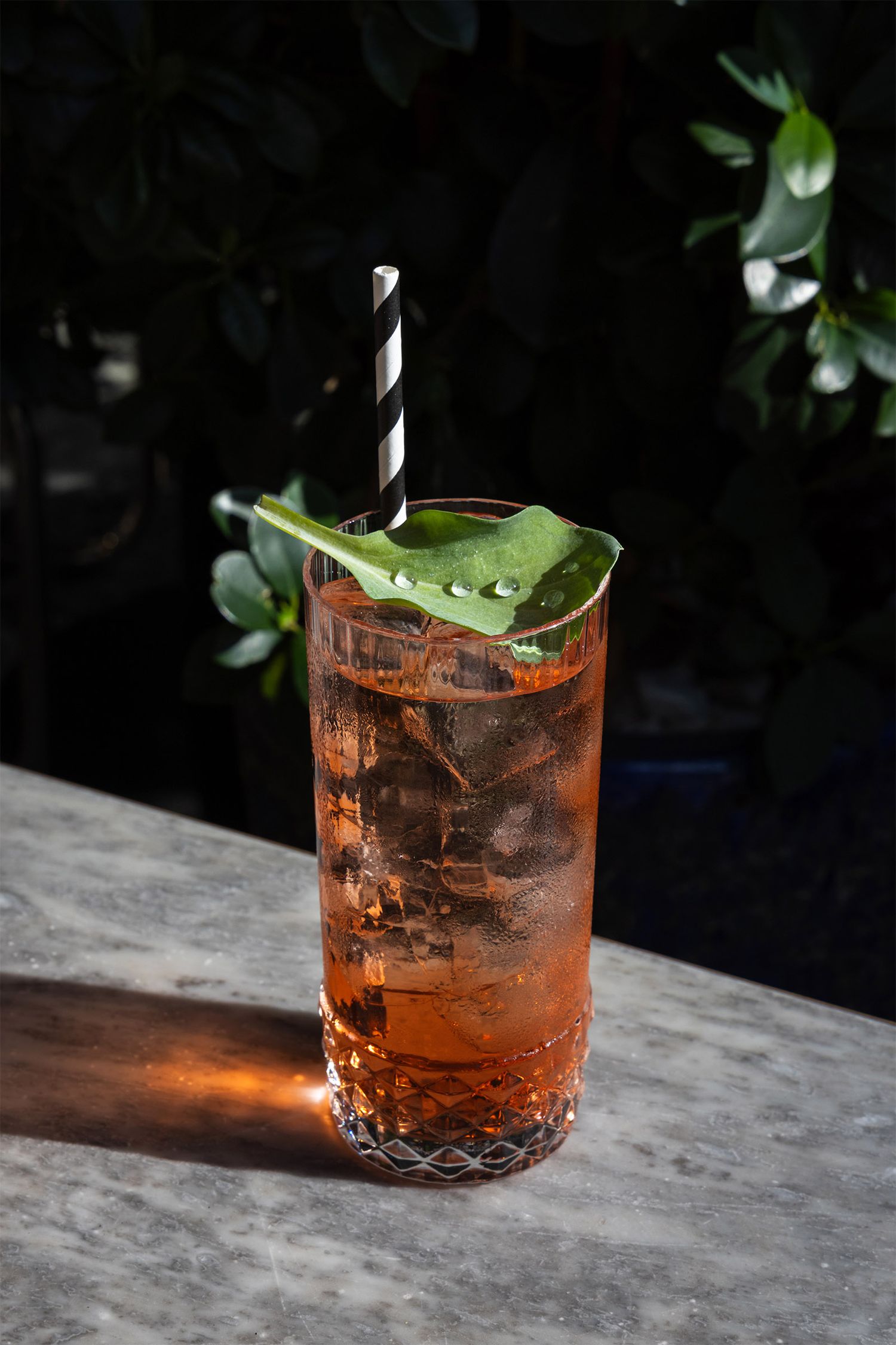 Cocktails Photography  at Bondi Green, Daisy Green Collection
