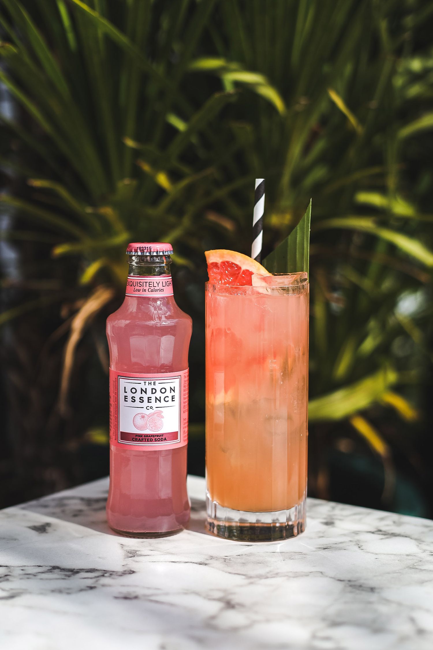 Cocktails Photography  at Bondi Green, Daisy Green Collection