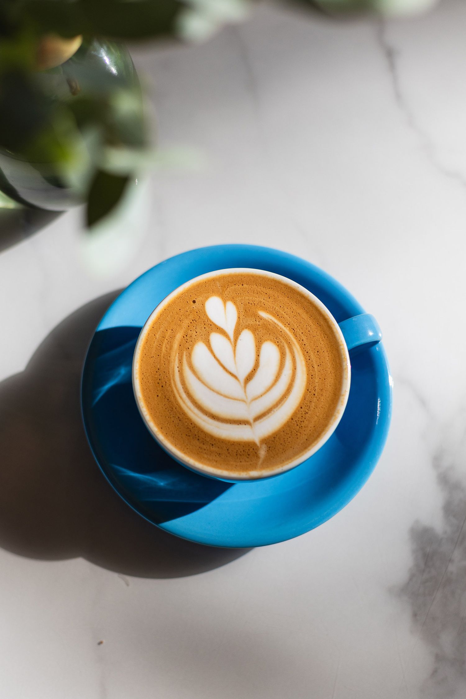 Coffee Latte art, flat white at Daisy Green Food