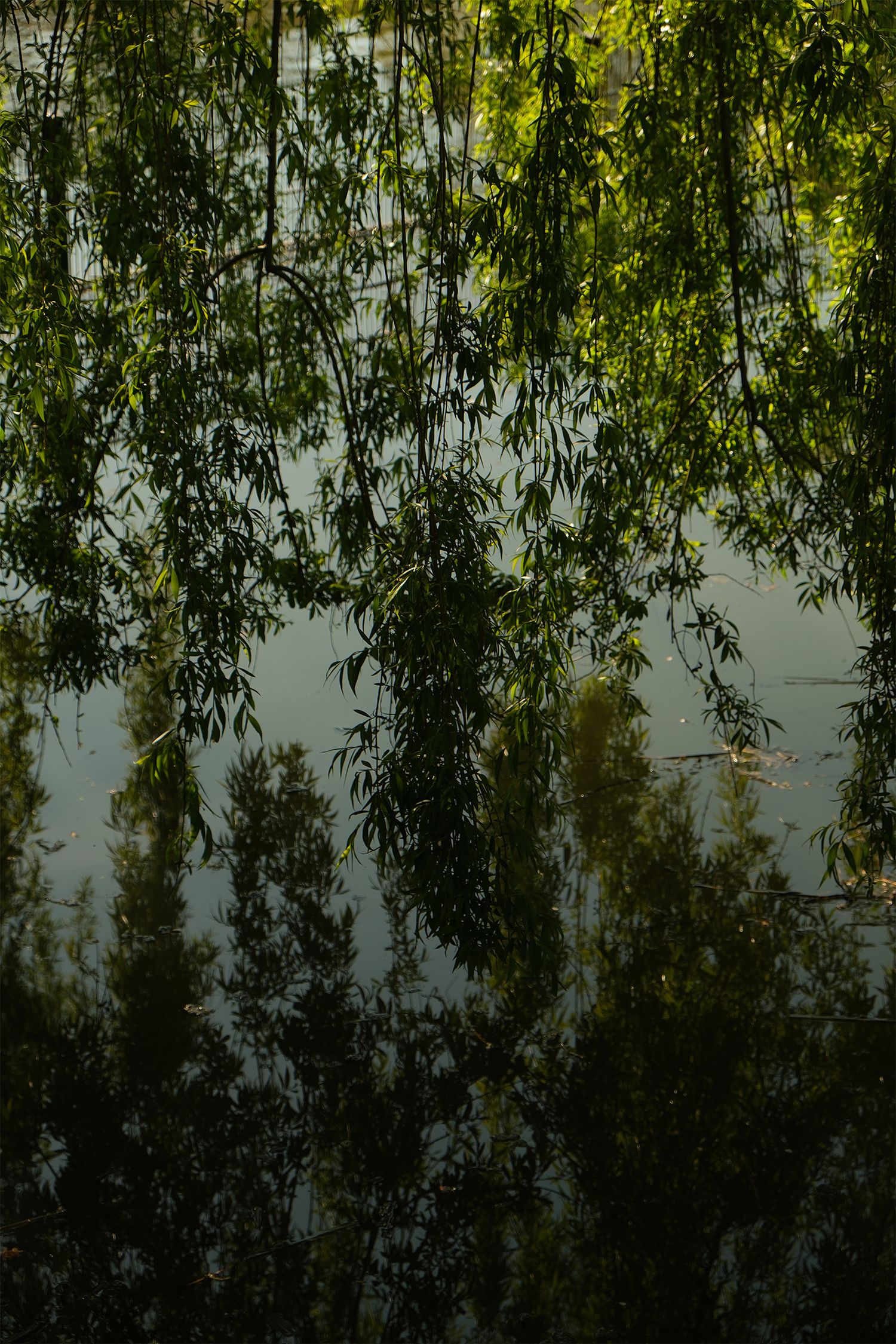 Regents Park, London