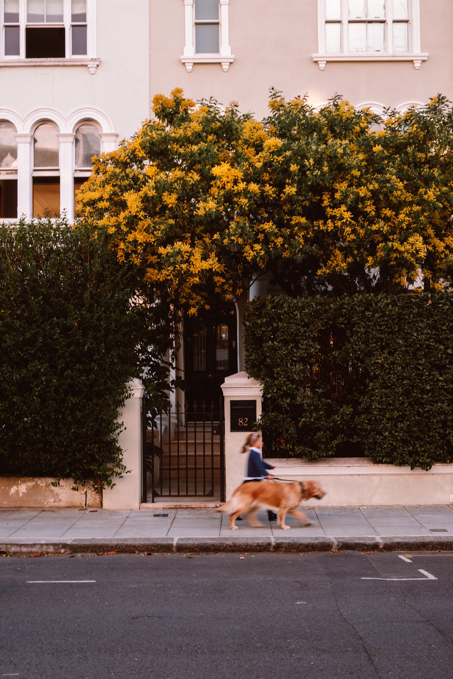 soft shadows, spring, girl walking in Blenheim Road, Notting Hill London