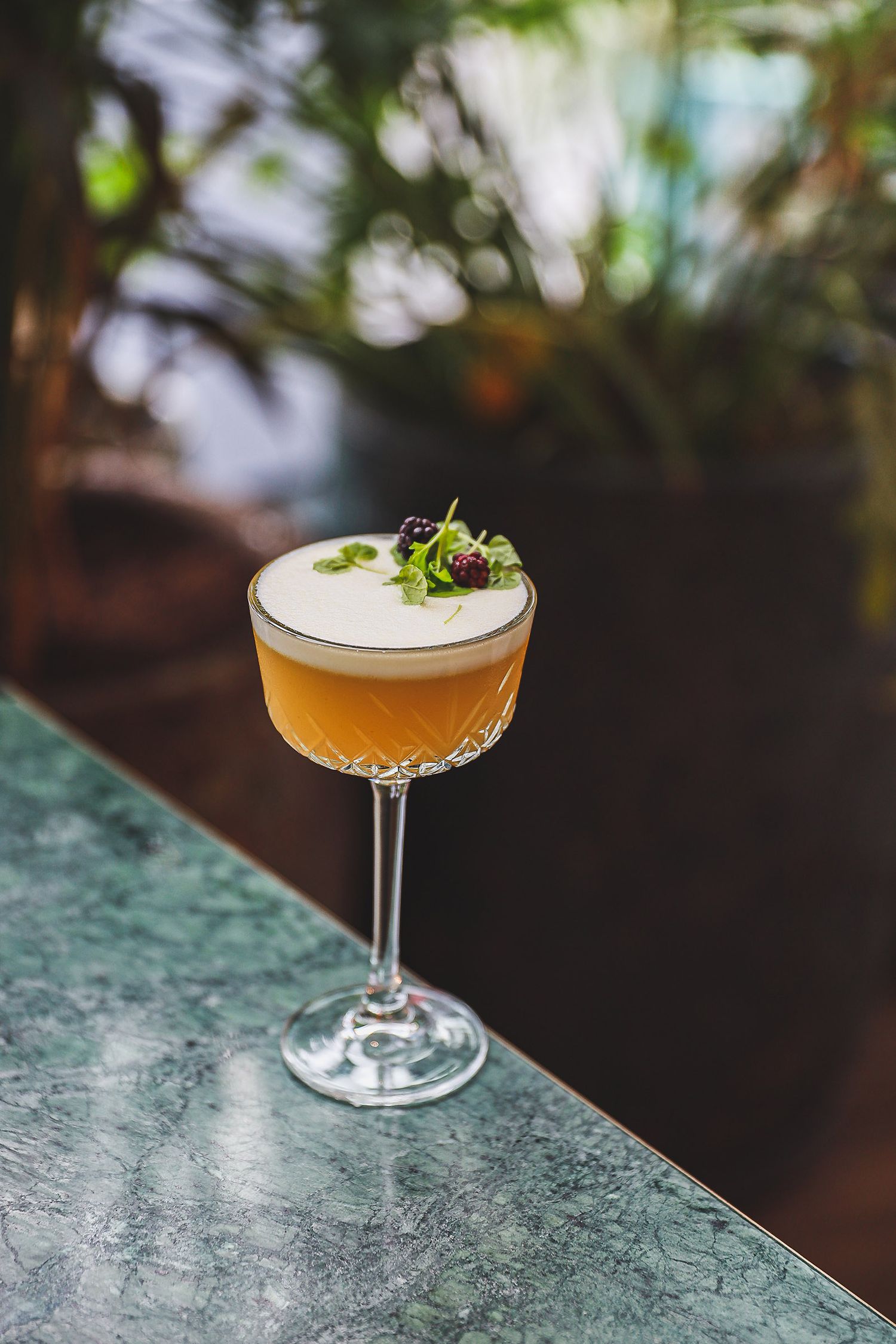 Cocktails Photography  at Bondi Green, Daisy Green Collection