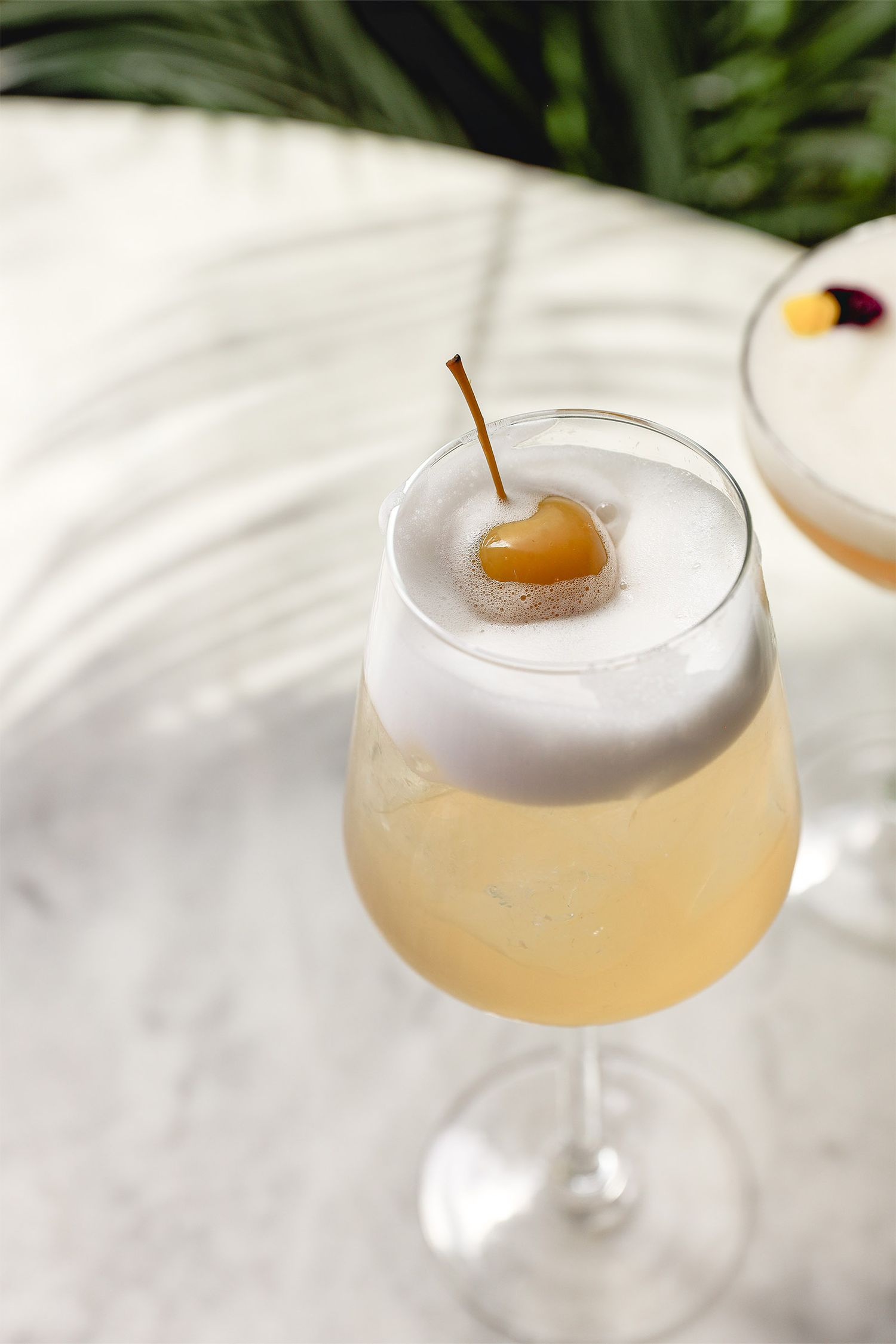 Cocktails Photography  at Bondi Green, Daisy Green Collection