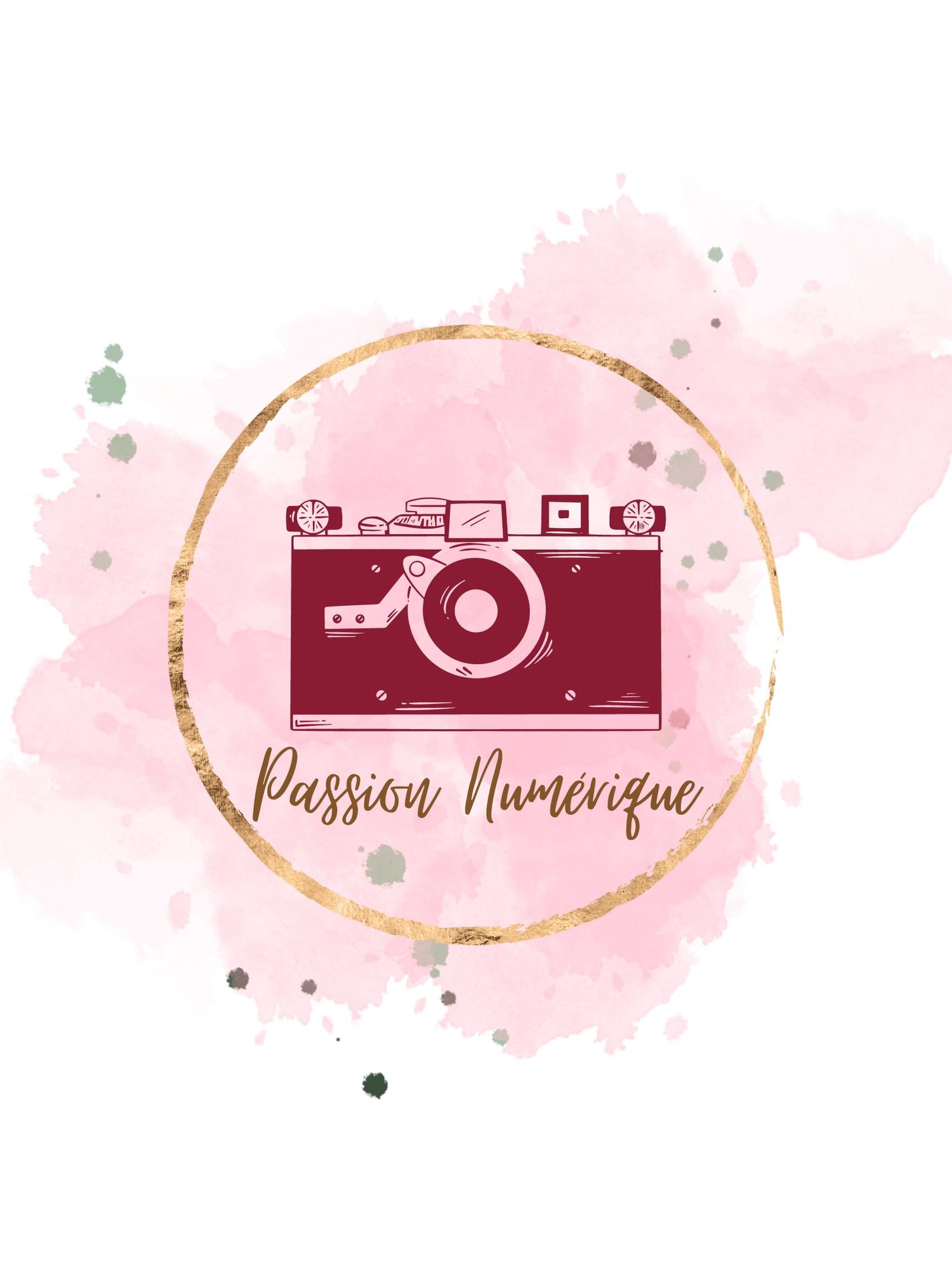 Passion Numerique photography logo featuring vintage camera in gold circle on pink watercolor background.