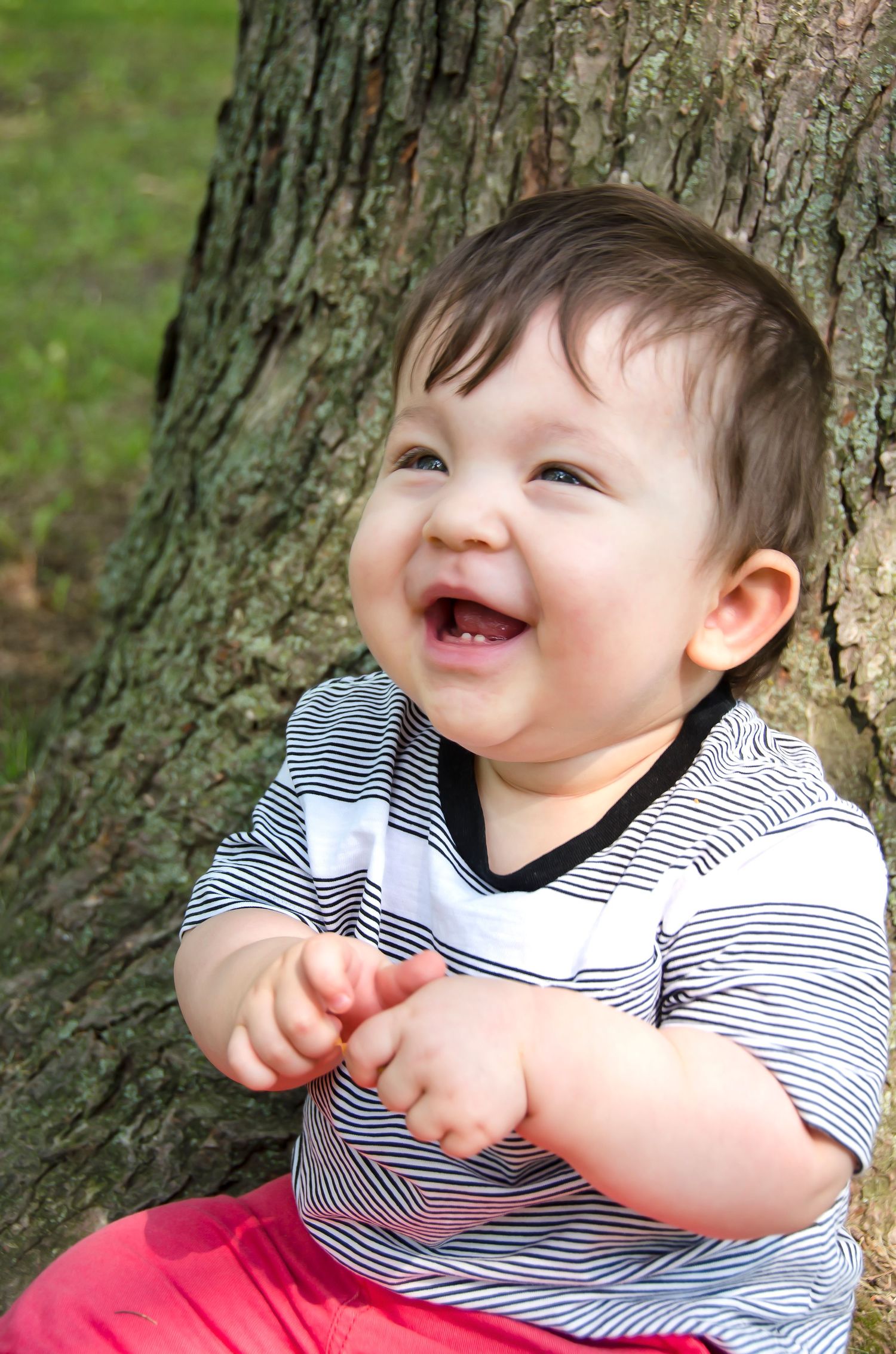 Happy laughing baby with dark hair sitting against tree trunk outdoors in striped shirt.