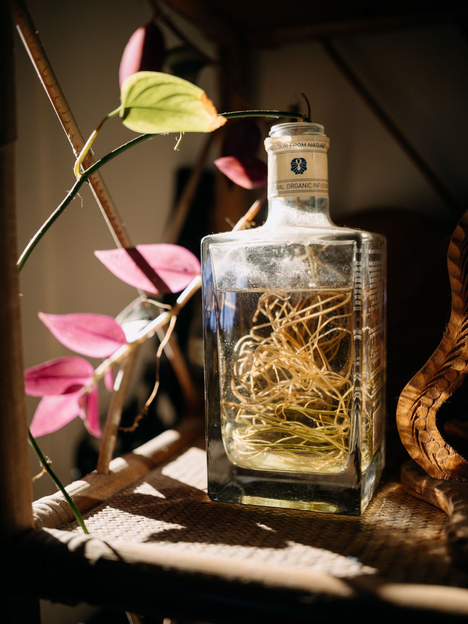 Clear glass bottle with dried roots inside, surrounded by pink flowers and warm sunlight on a wooden surface.