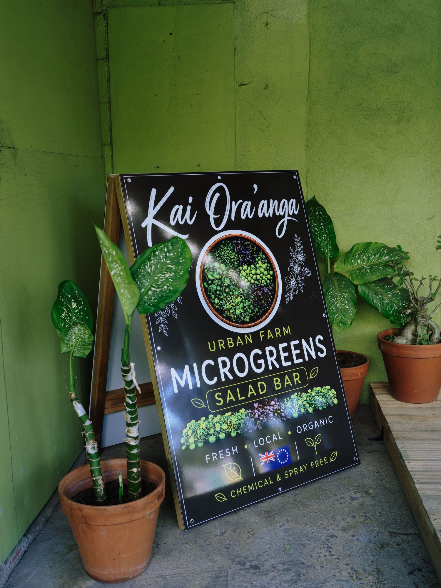 A-frame sign for Kai Ora'anga Urban Farm Microgreens Salad Bar, fresh local organic, surrounded by potted tropical plants.